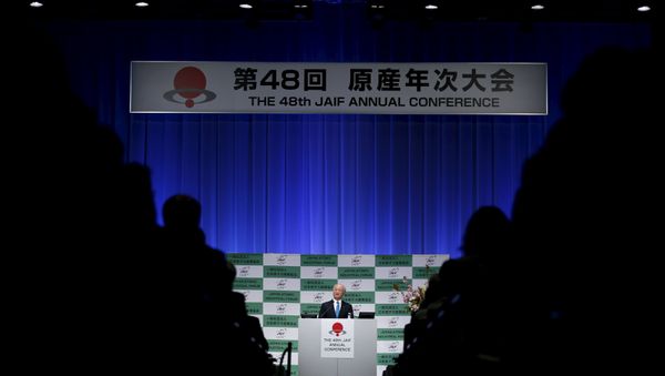 International Atomic Energy Agency (IAEA) Director General Yukiya Amano - Sputnik International