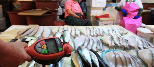 A worker using a Geiger counter checks for possible radioactive contamination at Noryangjin Fisheries Wholesale Market in Seoul, South Korea, Friday, Sept. 6, 2013 - Sputnik International