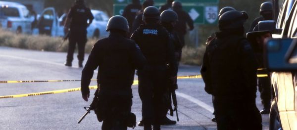 Mexican Federal personnel police - Sputnik International
