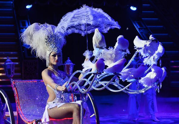 Where Magic Meets Reality: History of Circus - Sputnik International