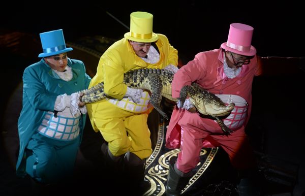 Where Magic Meets Reality: History of Circus - Sputnik International