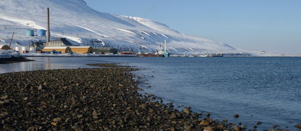 China Is Russia’s No.1 Partner in Arctic Development - Lavrov China Is Russia’s No.1 Partner in Arctic Development - Lavrov - Sputnik International