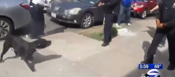 Cops Aim for Pet Dog, Nearly Shoot Bystanders on New York City Street - Sputnik International