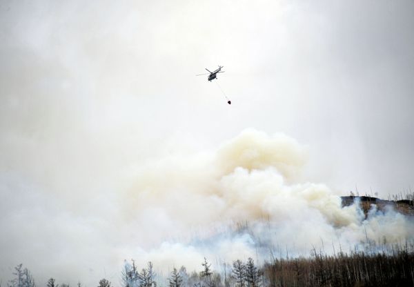 Forest fires in the Zabaikalye territory Forest fires in the Zabaikalye territory - Sputnik International