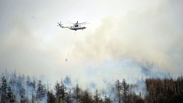 Forest fires in the Zabaikalye territory Forest fires in the Zabaikalye territory - Sputnik International