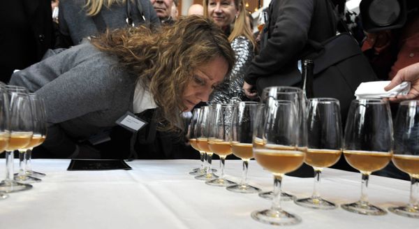An unidentified woman smells the aroma of one of the 168 bottles of champagne salvaged from a 200-year-old shipwreck in the waters off Aland Islands, between Sweden and Finland, which was opened at a sampling in Mariehamn, Finland on Wednesday Nov. 17, 2010 - Sputnik International