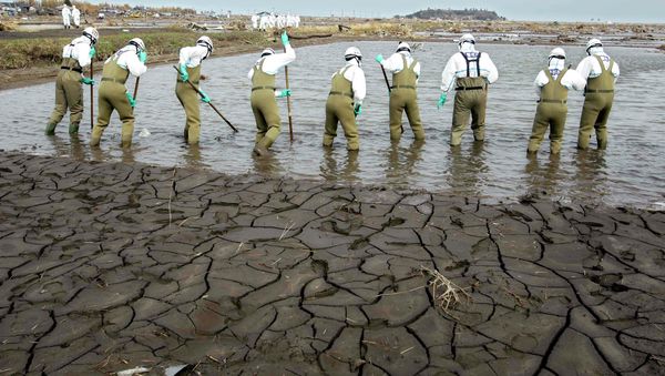 Japanese policemen search for bodies in the area devastated by the March 11 earthquake and tsunami in Minamisoma, inside the 20-kilometer (12-mile) evacuation zone, in Fukushima Prefecture - Sputnik International