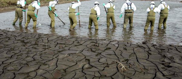Japanese policemen search for bodies in the area devastated by the March 11 earthquake and tsunami in Minamisoma, inside the 20-kilometer (12-mile) evacuation zone, in Fukushima Prefecture Japanese policemen search for bodies in the area devastated by the March 11 earthquake and tsunami in Minamisoma, inside the 20-kilometer (12-mile) evacuation zone, in Fukushima Prefecture - Sputnik International