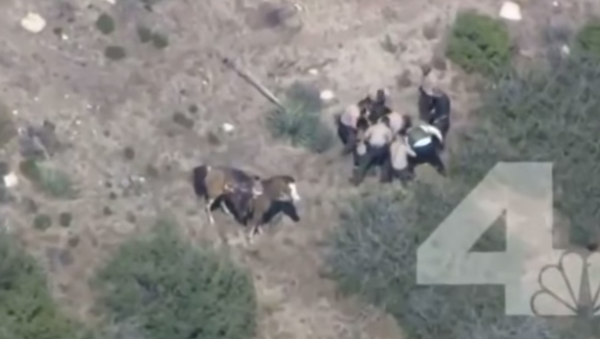 California Man Beaten by Cops on Video to Get $650K Settlement - Sputnik International