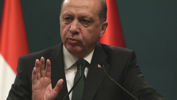 Turkish President Recep Tayyip Erdogan has hit out at the Islamic State group, which he said was a virus designed to destroy the Muslim community - Sputnik International