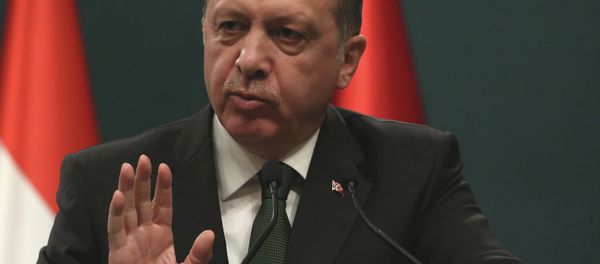 Turkish President Recep Tayyip Erdogan speaks to the media during a joint press conference with his Hungarian counterpart Janos Ader after their talks in Ankara Turkish President Recep Tayyip Erdogan speaks to the media during a joint press conference with his Hungarian counterpart Janos Ader after their talks in Ankara - Sputnik International