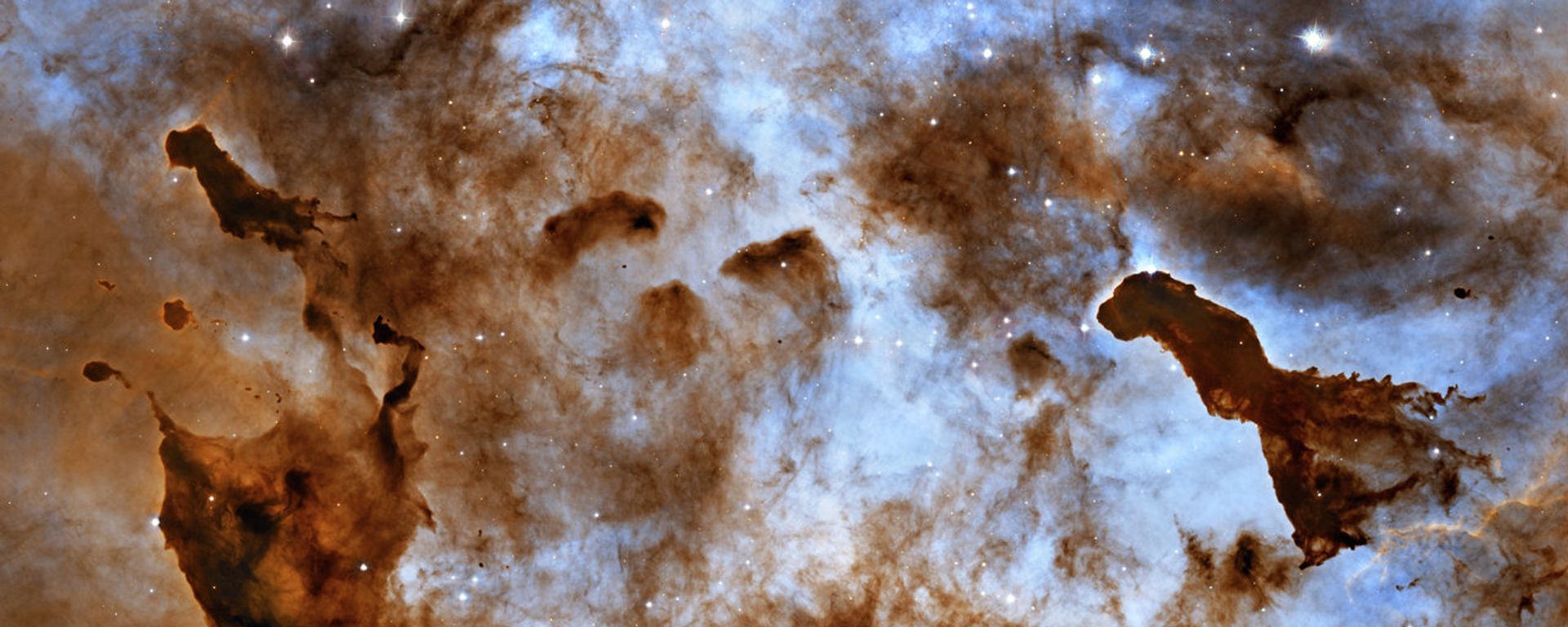 Cosmic Ice Sculptures: Dust Pillars in the Carina Nebula Cosmic Ice Sculptures: Dust Pillars in the Carina Nebula - Sputnik International, 1920, 27.09.2023