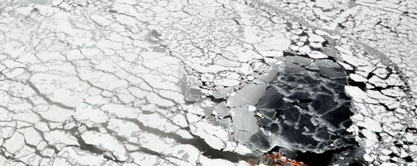 Russian drones will be deployed in the Arctic and along the Northern Sea Route starting May 1 to monitor the climate situation and the deterioration of Arctic ice, as well as to aid in navigation and search and rescue missions. - Sputnik International