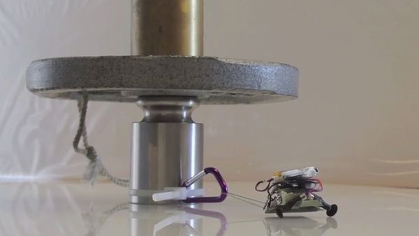Micro Muscle: Tiny Robot Pulls 2000 Times Its Own Weight - Sputnik International