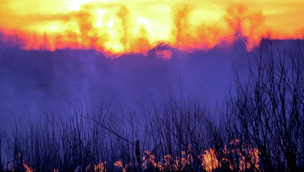 The Gomel Region -- part of the Chernobyl nuclear power plant exclusion zone - Sputnik International