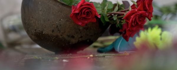 Roses lay in an old military helmet outside the burnt trade union building where more than 40 people perished in a fire on May 2, 2014 - Sputnik International