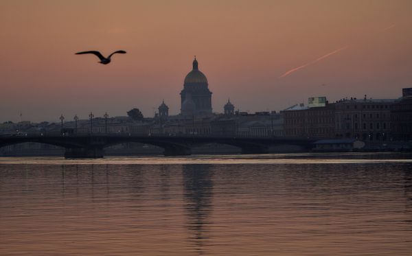 Venice of the North: St. Petersburg Venice of the North: St. Petersburg - Sputnik International
