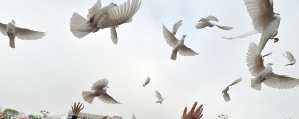 Rally held to commemorate those killed in Odessa on May 2, 2014 - Sputnik International