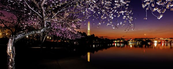 Washington DC - Sputnik International