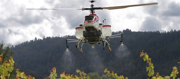 Yamaha RMax unmanned helicopter sprays water over grapevines during a demonstration of its aerial application capabilities at the University of California - Sputnik International