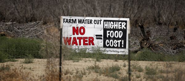 A water protest sign is seen in front of a field of dead trees in Coalinga, California, United States May 5, 2015 A water protest sign is seen in front of a field of dead trees in Coalinga, California, United States May 5, 2015 - Sputnik International
