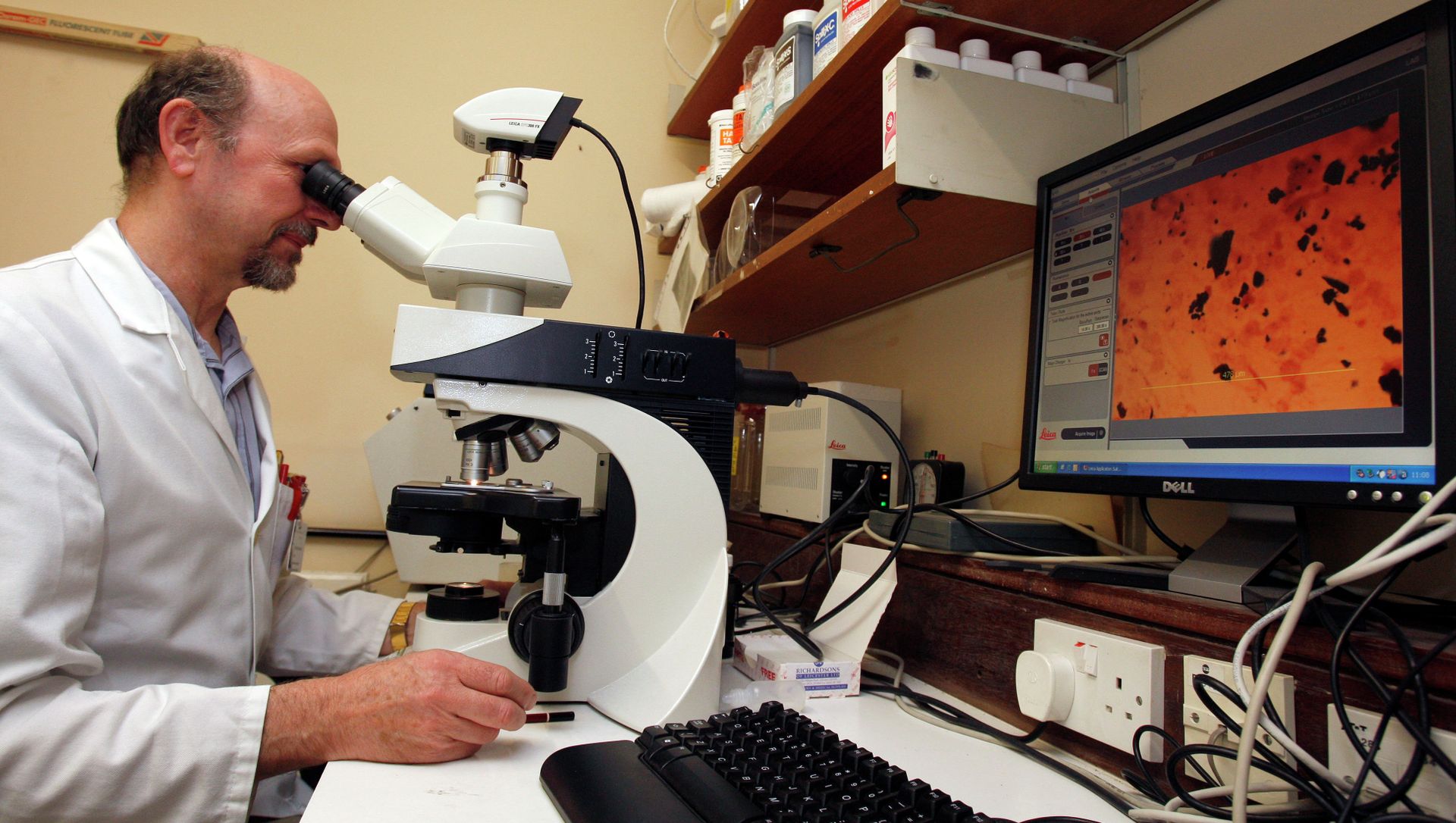 A scientist uses a microscope to examine a slide. A scientist uses a microscope to examine a slide. - Sputnik International, 1920, 12.06.2021