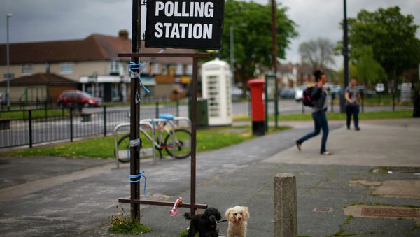 Dogs wait for their owner as he casts his vote at a polling station in a hairdressers during the election in Hull, Britain May 7, 2015 - Sputnik International