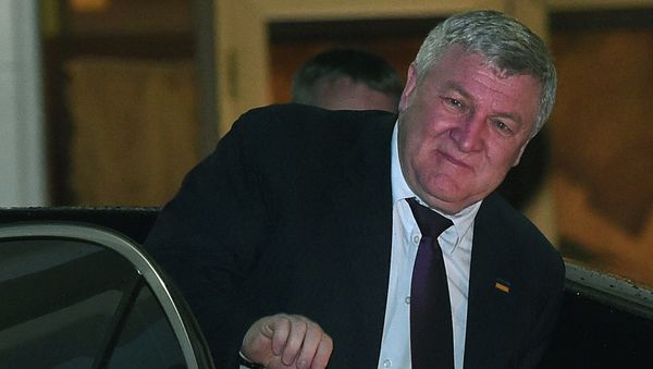 Mykhailo Yezhel - Sputnik International