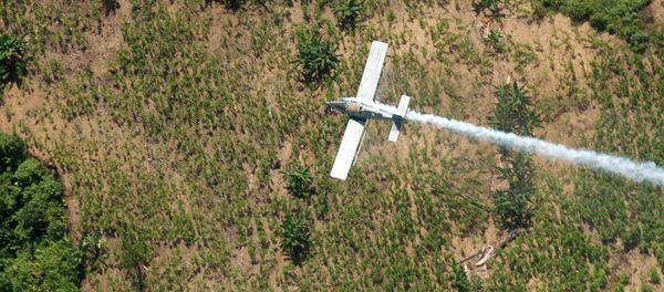 Colombia has announced that it will stop using Monsanto's controversial herbicide glyphosate - the active ingredient in its bestselling RoundUp - on illicit coca crops as part of state efforts to eradicate the plants. - Sputnik International