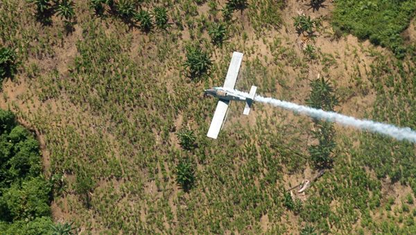 Colombia has announced that it will stop using Monsanto's controversial herbicide glyphosate - the active ingredient in its bestselling RoundUp - on illicit coca crops as part of state efforts to eradicate the plants.  - Sputnik International