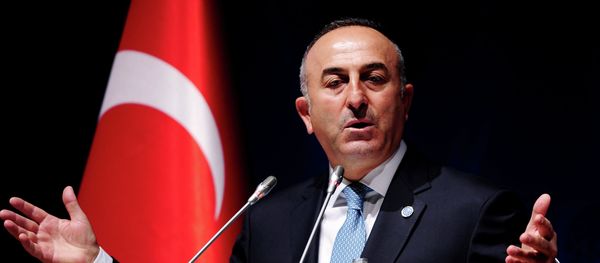 Turkish Foreign Minister Mevlut Cavusoglu gestures during a press conference Turkish Foreign Minister Mevlut Cavusoglu gestures during a press conference - Sputnik International