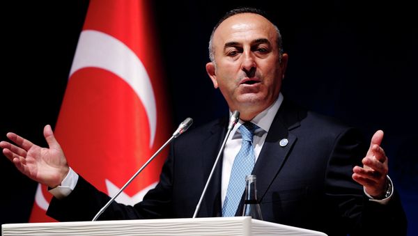Turkish Foreign Minister Mevlut Cavusoglu gestures during a press conference Turkish Foreign Minister Mevlut Cavusoglu gestures during a press conference - Sputnik International