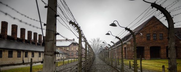 70th anniversary of Auschwitz liberation by Red Army - Sputnik International