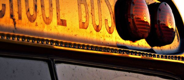 School bus School bus - Sputnik International
