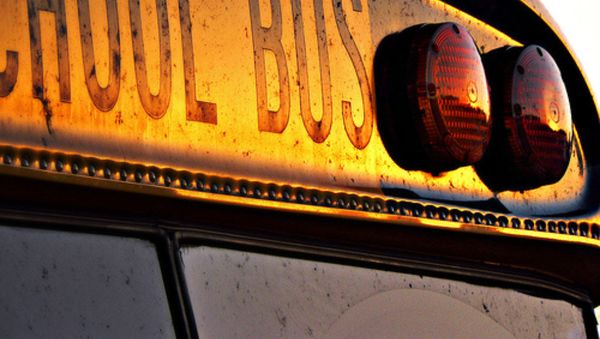 School bus - Sputnik International