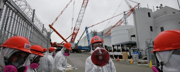A staff member of the Tokyo Electric Power Co. (TEPCO) A staff member of the Tokyo Electric Power Co. (TEPCO) - Sputnik International
