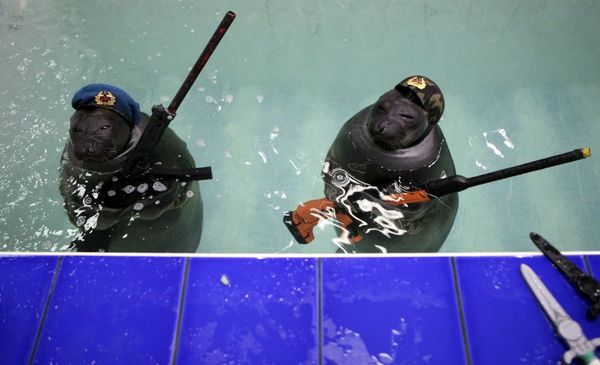 This Week in Pictures - Sputnik International