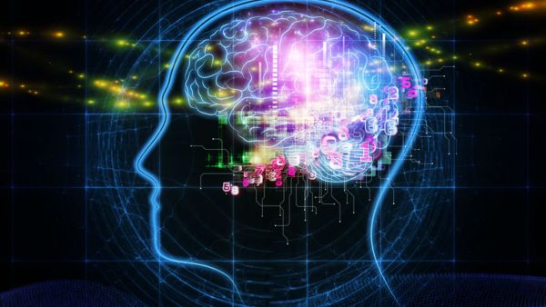 Do we really need a physical presence if the mind can be preserved? And how close are we to being able to transfer our consciousness to a computer? - Sputnik International