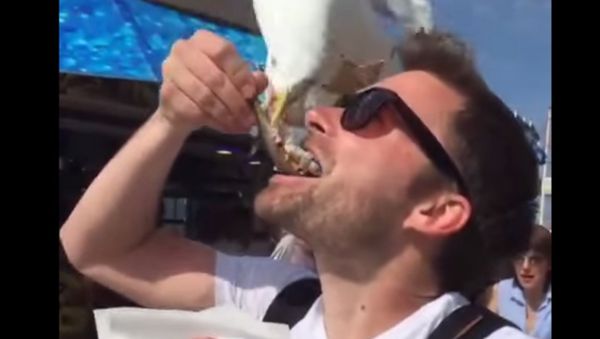 A man wants to eat fish but a seagull decided otherwise - Sputnik International