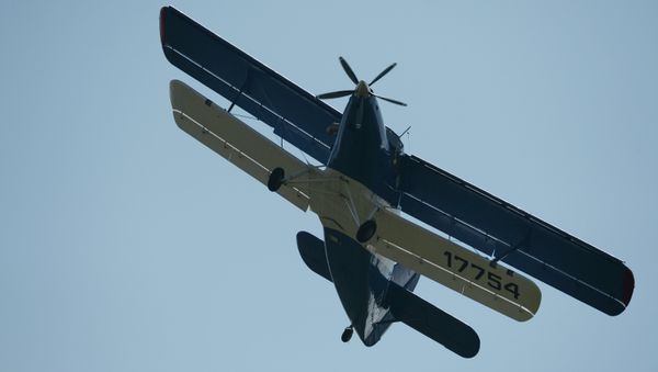 AN-2 - Sputnik International