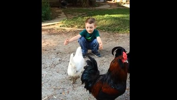 Chicken Hugs - Sputnik International