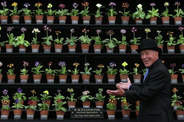 Chelsea Flower Show - Sputnik International