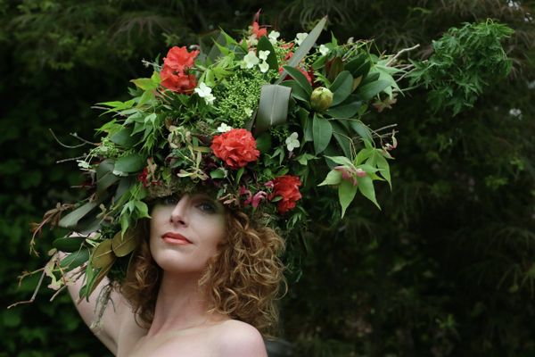 Chelsea Flower Show - Sputnik International