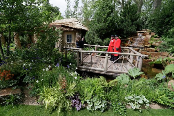 Chelsea Flower Show - Sputnik International