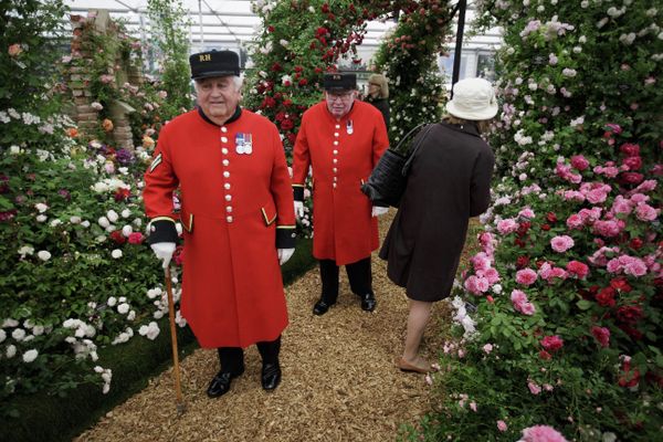 Chelsea Flower Show - Sputnik International