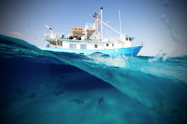 Underwater Photography - Sputnik International