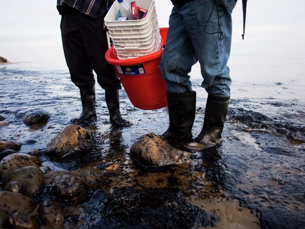 Oil spill - Sputnik International