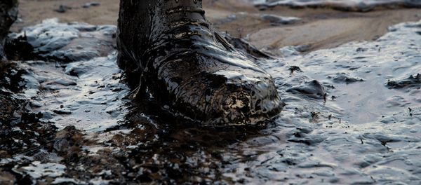 Oil spill Oil spill - Sputnik International