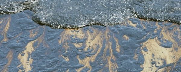 Oil spill Oil spill - Sputnik International