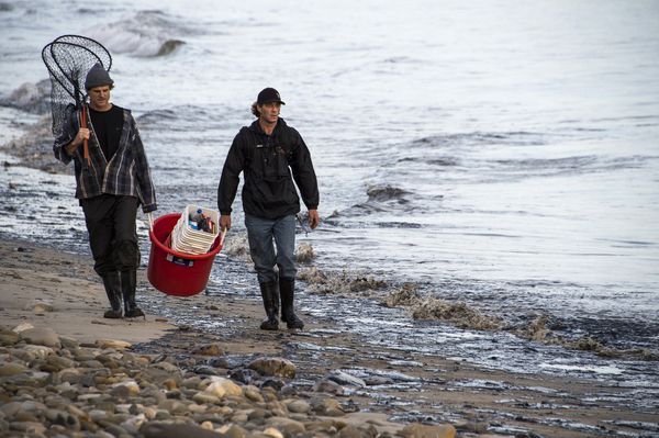 Oil spill Oil spill - Sputnik International